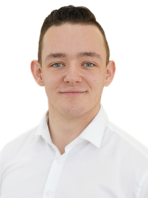 Bild von Chester, Braun